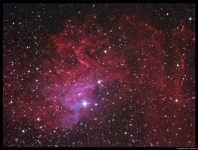 Flaming Star Nebula