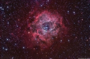 rosette_oiii_small.jpg