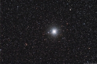procyon_greg_noel_small.jpg
