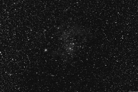 rosette_r72.jpg