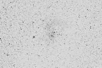 rosette_r72_bw_small.jpg