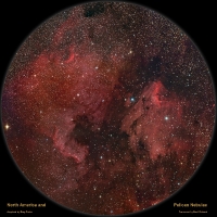 ngc7000_pelican_nfo.jpg ngc7000_pelican_nfo.jpg