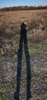 low-winter-sun