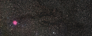 cocoon_alldata