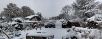 obs_in_snow_nfo