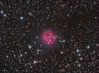 The Cocoon nebula