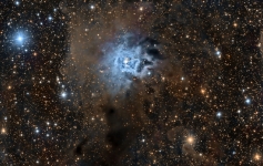 Harry Page Iris nebula 