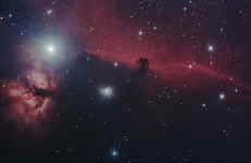 Carole Pope Horsehead