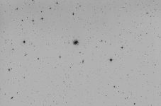 M100 B&W version