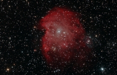 Monkey Head nebula