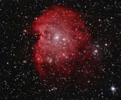 Monkey Head nebula composite image