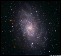 M33 the Triangulum galaxy M33 the Triangulum galaxy