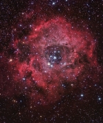Rosette composite definitive