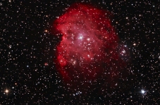 Monkey Head nebula