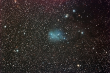 IC2169 full version