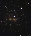 The Coma cluster of galaxies