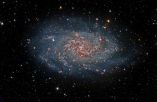 M33 Harry Page image of the week