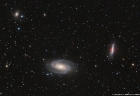 Wide field image of M81/M82 region