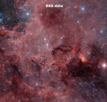 Tulip nebula region