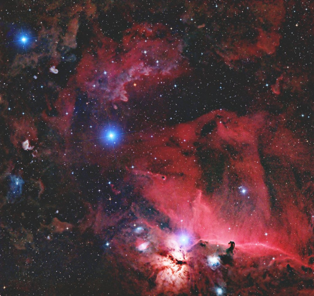 Belt_Horsehead_StarXT_Forums