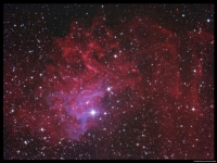 Flaming Star Nebula