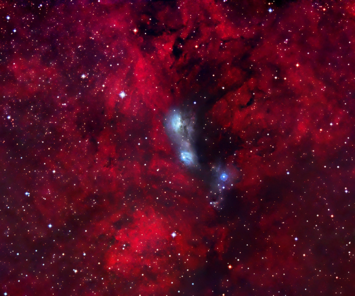 NGC6914_Greg_Noel_SX_Forums
