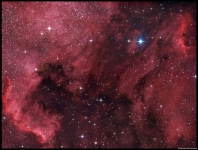 Pelican & N.A. Nebula