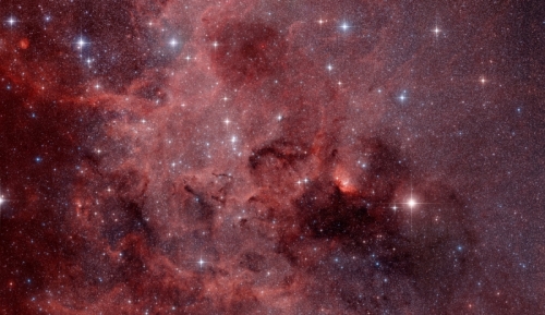 Tulip nebula region in Cygnus