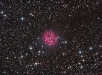 The Cocoon nebula