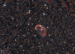 Crescent nebula and Carbon star SAO 69636