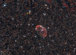 Crescent nebula and Carbon star SAO 69636