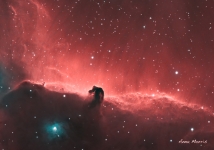Horsehead nebula Anna Morris