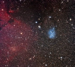 Trumpler 5 and IC2169