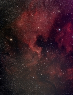 mini-WASP NGC7000