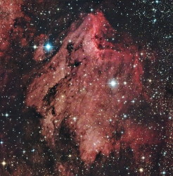 The Pelican nebula