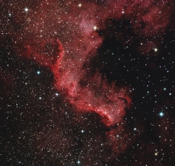 The Cygnus Wall