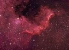 The Cygnus Wall