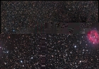cocoon_nfo.jpg