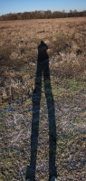 low_winter_sun_forum