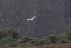 img_2970cs3_small