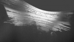 Sun trails 21/06/2012