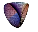 roman_surface