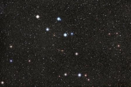 Delphinus_Akira_Fujii_Forum