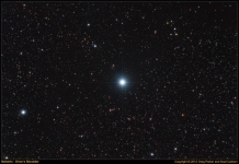 bellatrix_forum