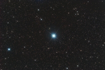 bellatrix