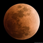 lunar_eclipse_02_20_2008.jpg
