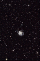 M101 and supernova