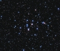M44 the Beehive cluster