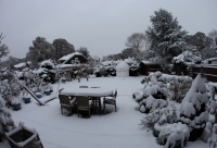 nfo_in_snow