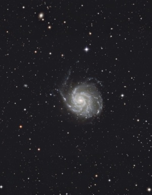 Definitive_M101_Forums